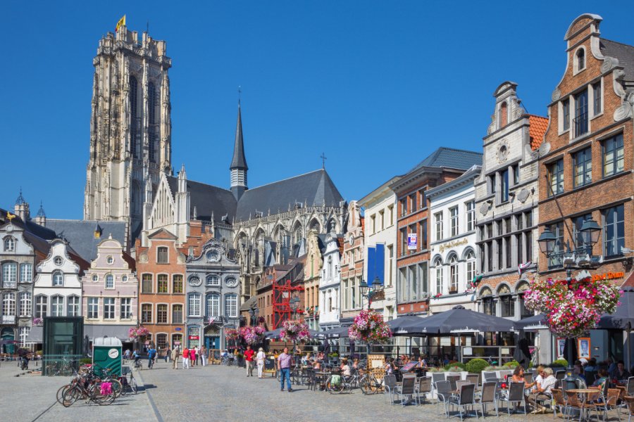 La ville de Malines. Renata Sedmakova - Shutterstock.com