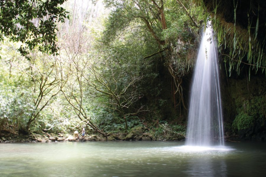 Twin Falls. Ludovic COSTE