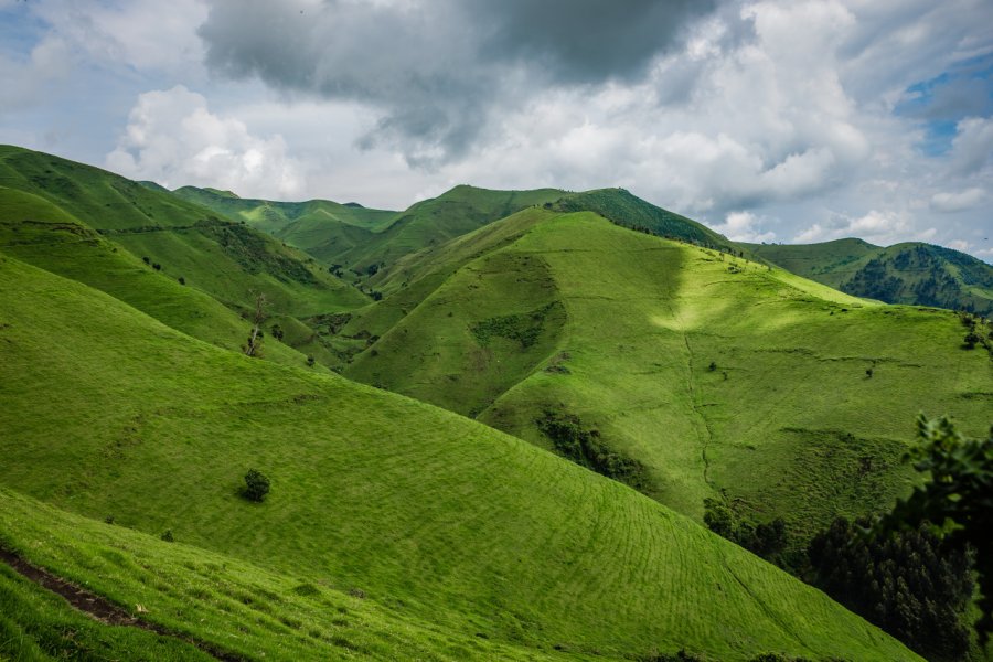 Montagnes de Kivu. Ben Houdijk - Shutterstock.com