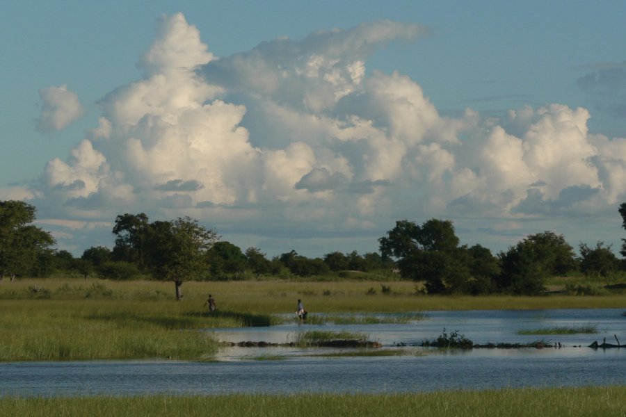 Paysage de l'Ovamboland. Ute von Ludwiger / Namibia Tourism - www.fotoseeker.com