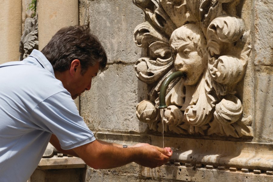 La grande fontaine d'Onofrio. Lawrence BANAHAN - Author's Image