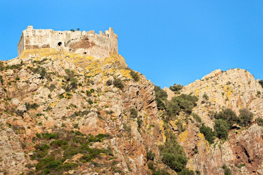 Château de Volterraio. Luciano Mortula - Shutterstock.com