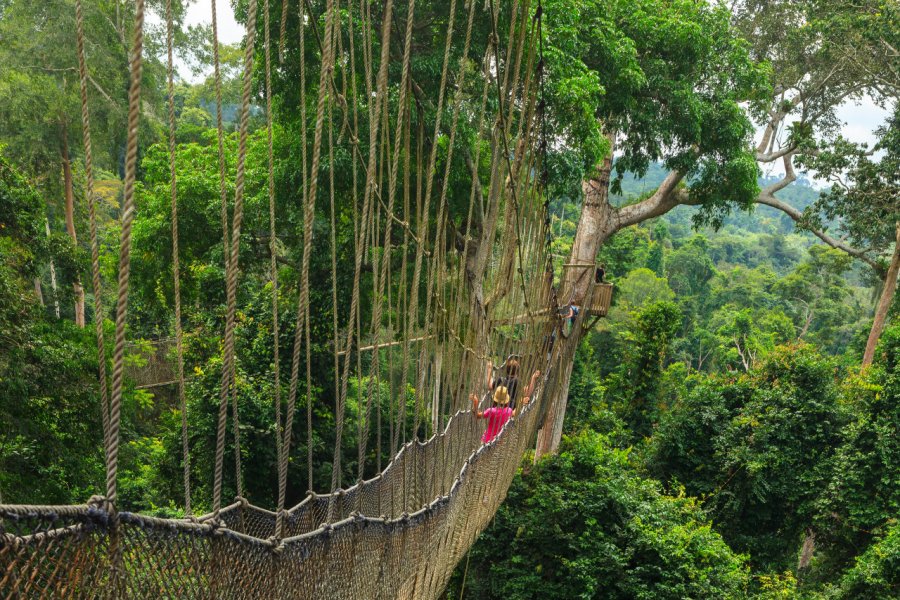 Kakum National Park. Linda Hughes / Shutterstock.com