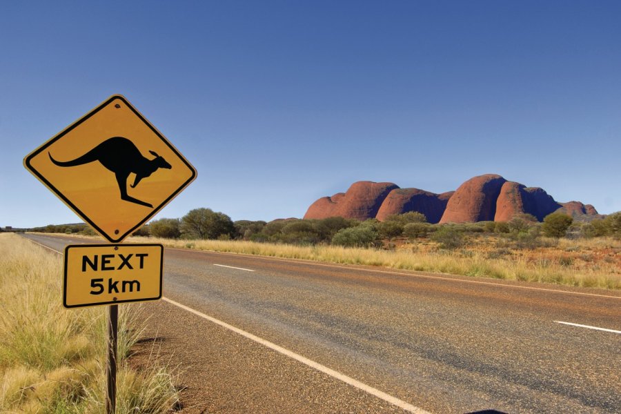 Kata Tjuta, les Olgas. Bernd LEITNER - Fotolia