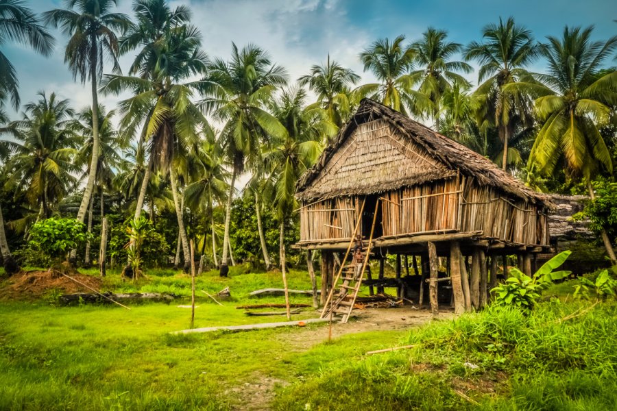 Habitation traditionnelle de Palembei. Michal Knitl - Shutterstock.com