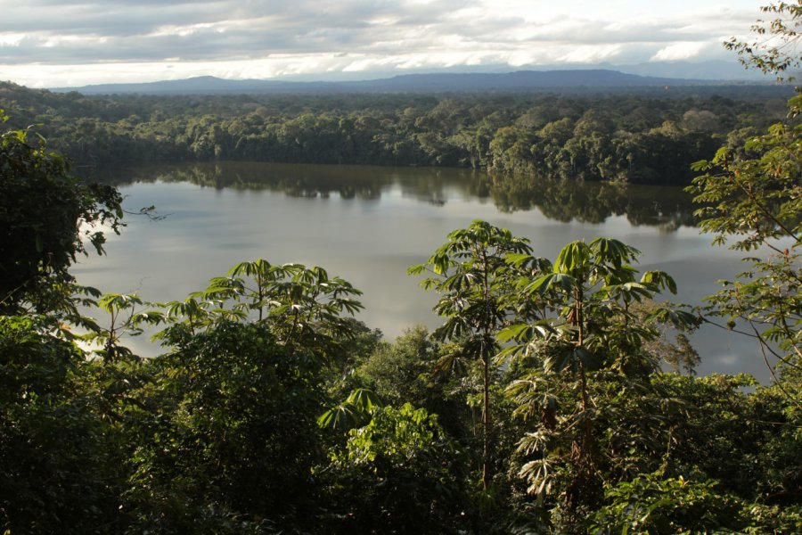 Le parc Madidi s'étend entre des forêts humides et des sommets de plus de 5000 m. Abdesslam BENZITOUNI
