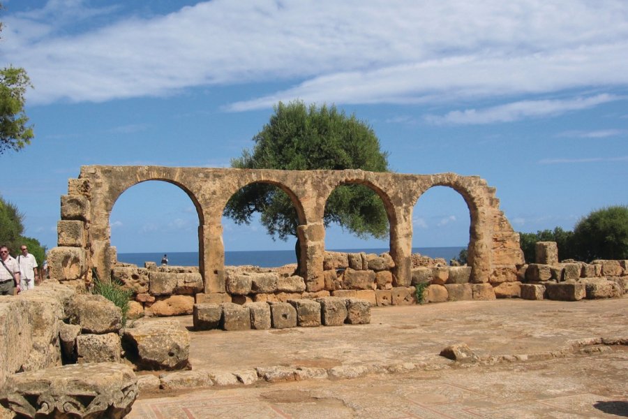 Tipasa