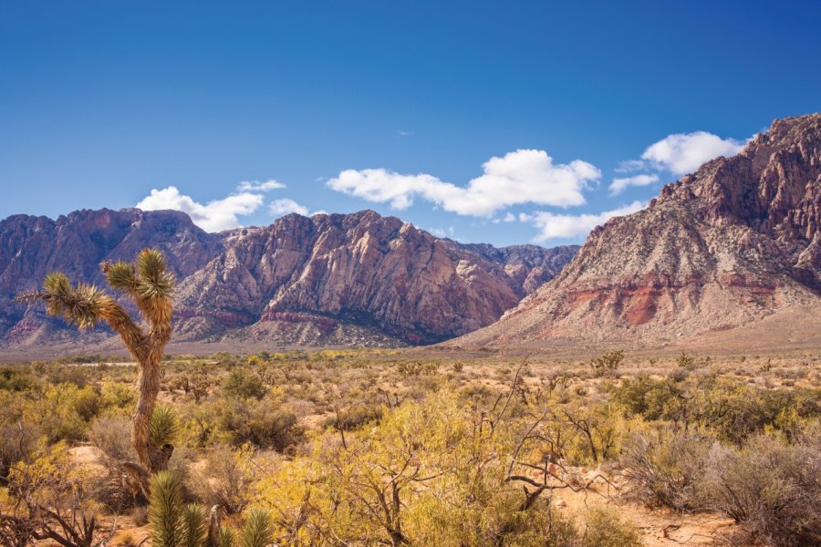 Red Rock Canyon. LPETTET - iStockphoto