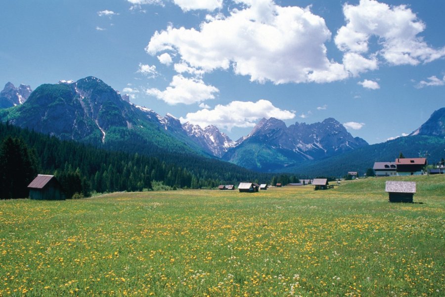 Paysage de Sappada. Author's Image