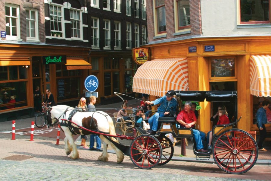 Calèche dans une rue du Singel. (© Author's Image))