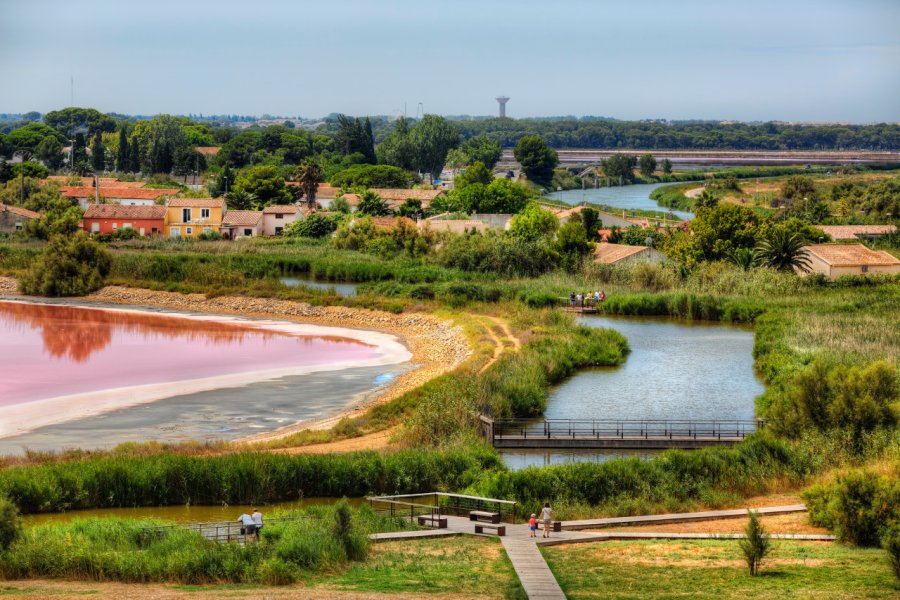 Paysage marécageux dans les environs d'Aigues-Mortes. Rolf G Wackenberg - Shutterstock.com