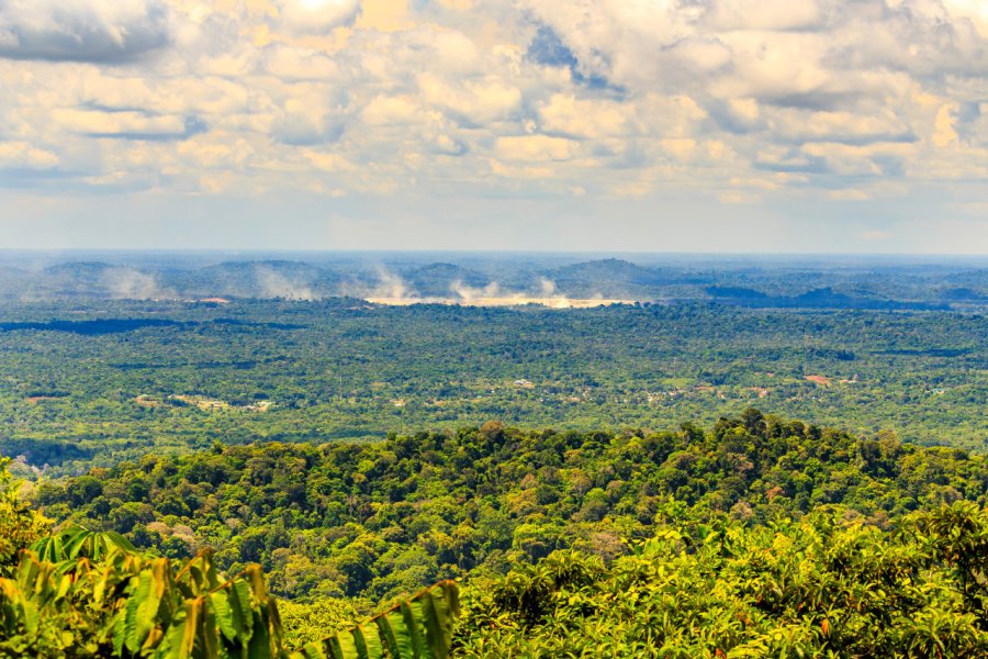 La forêt tropicale vers le lac de Brokopondo. <br /> Rene - stock.adobe.com