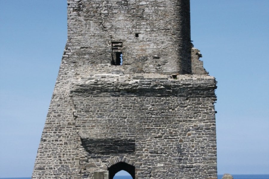 Tour du château d'Aberystwyth (© Paullittler - iStockphoto.com))