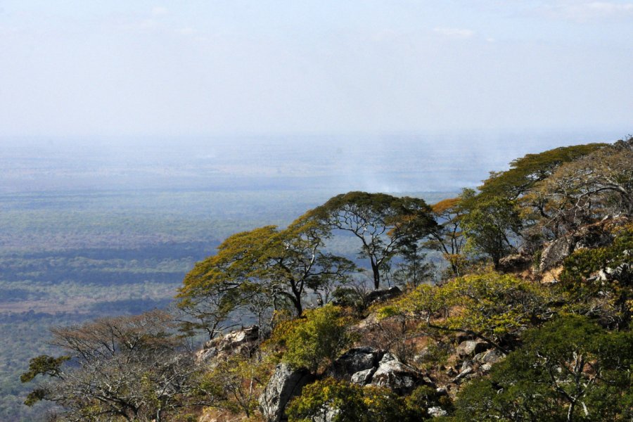 Dzalanyama forest reserve. Cline - stock.adobe.com