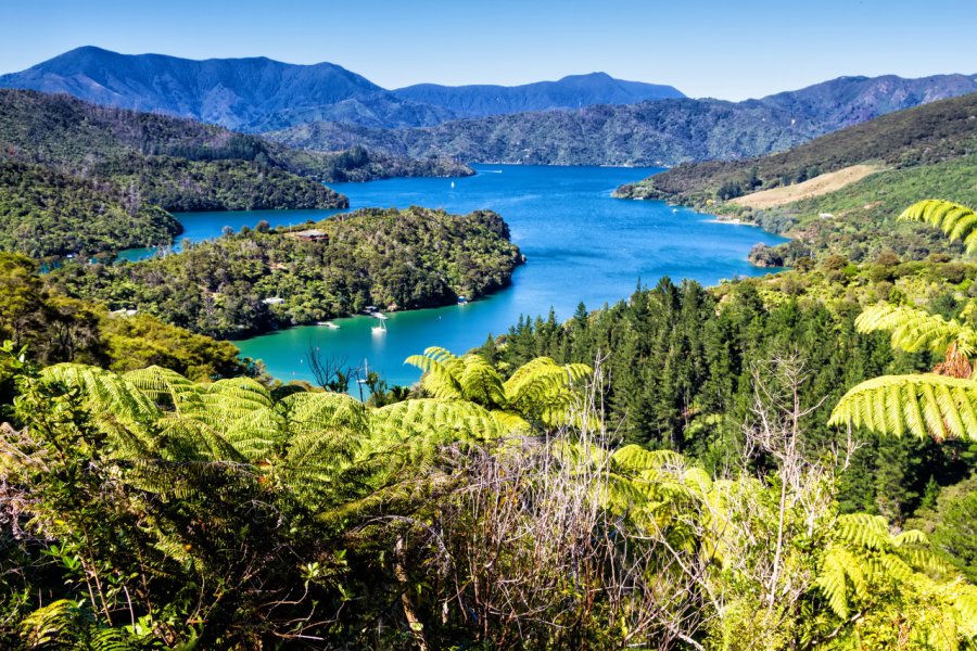 Queen Charlotte Sound. Milosz Maslanka - Shutterstock.com