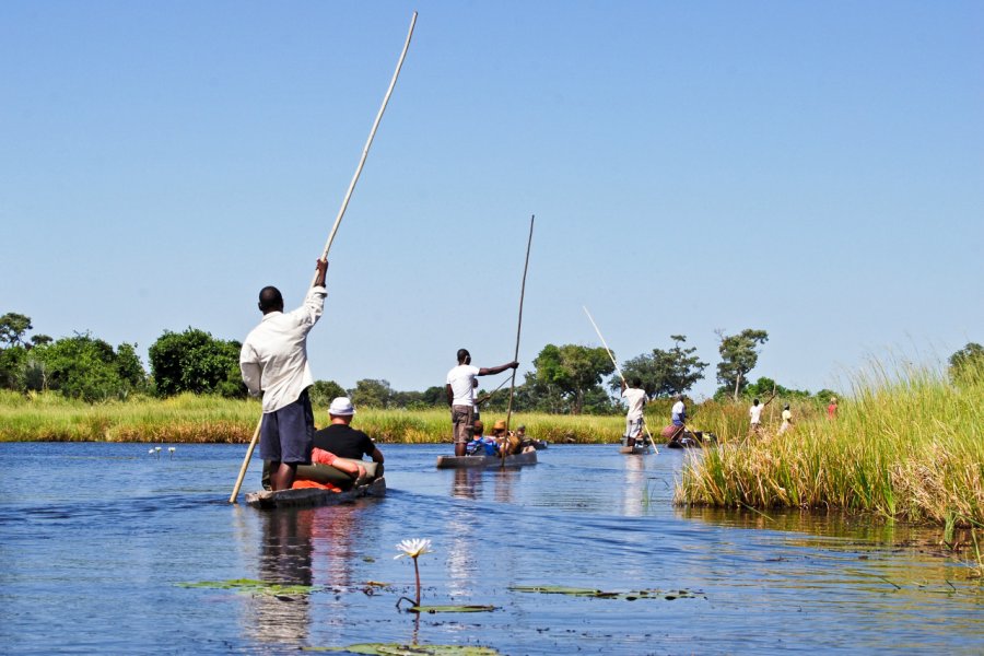 Balade en mokoro dans le Delta Okavanga, près de Maun. PIXEL to the PEOPLE - Shutterstock.com