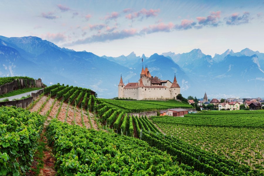 Les vignobles entourant le château d'aigle. Michal Balada - Shutterstock.com