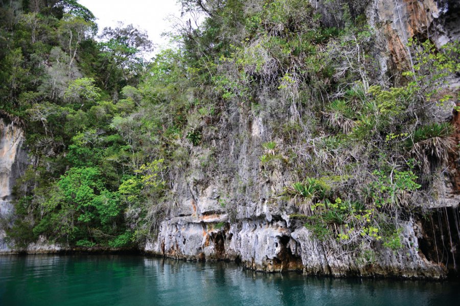 Parc national de Los Haïtises. La_Corivo - iStockphoto