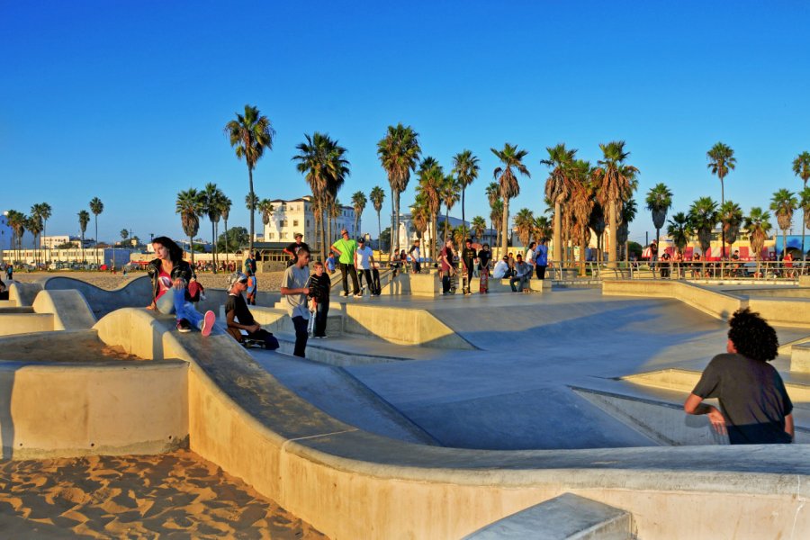 Palmiers à Los Angeles. nito - Shutterstock.com
