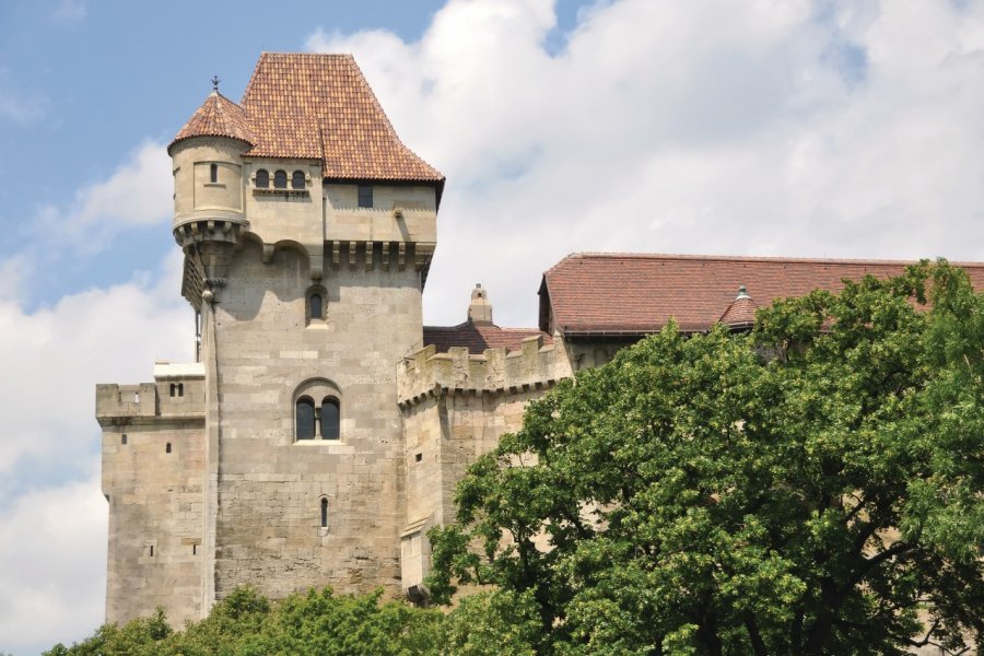 Château de Mayerling. Rudybaby - Fotolia