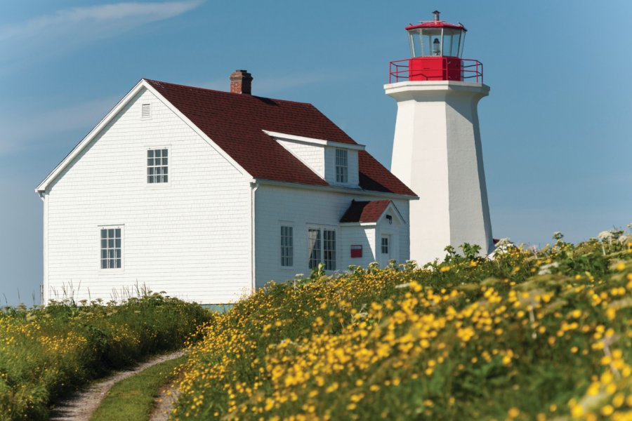 Île aux Perroquets, Réserve de parc national de l'Archipel-de-Mingan. Pchoui - iStockphoto