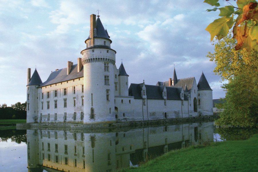 Le château du Plessis-Bourré et ses douves OLIVIER.BOST - XILOPIX