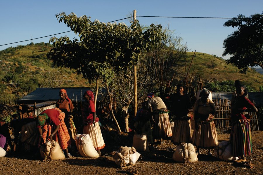 Marché de Konso. TRINITY