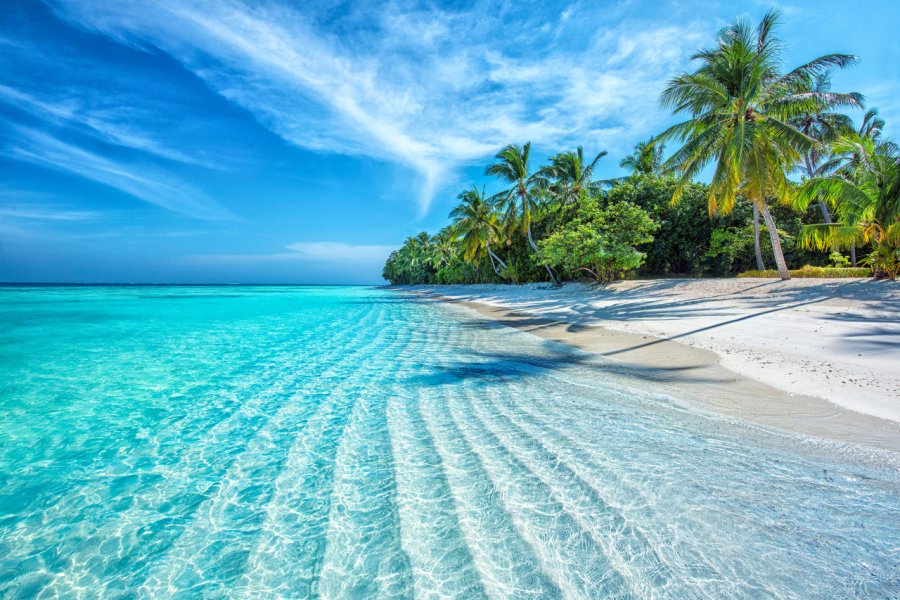 Plage des Maldives. Altug Galip - Shutterstock.com