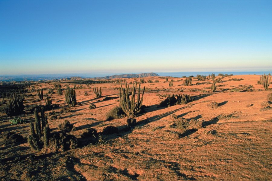 Paysage aride du Parc national Pan de Azúcar H.Fougère - Iconotec