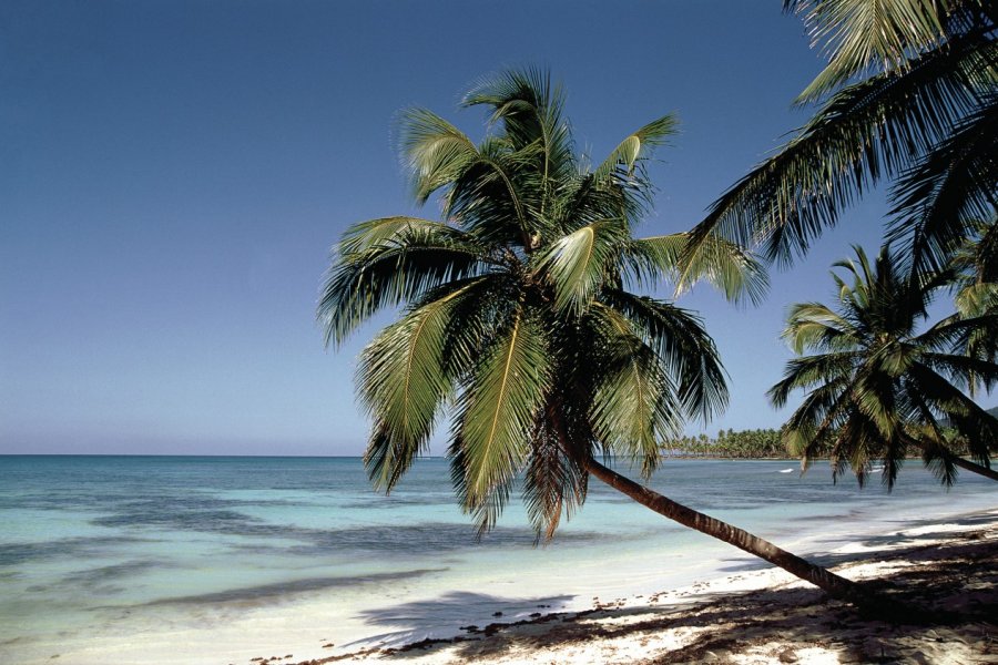 La plage de Las Galeras. Author's Image