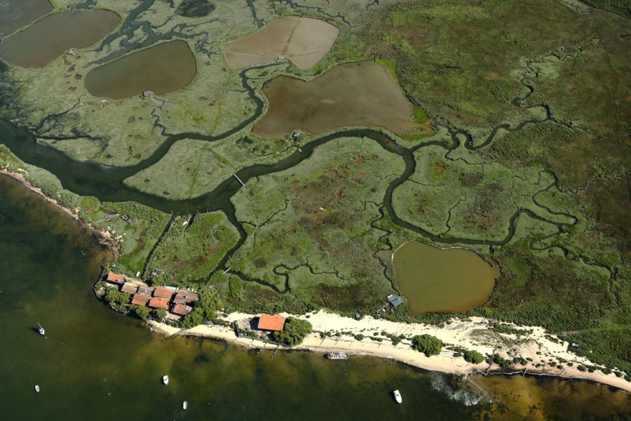 L'île aux oiseaux, havre ornithologique dans le bassin d'Arcachon. iMAGINE - stock.adobe.com