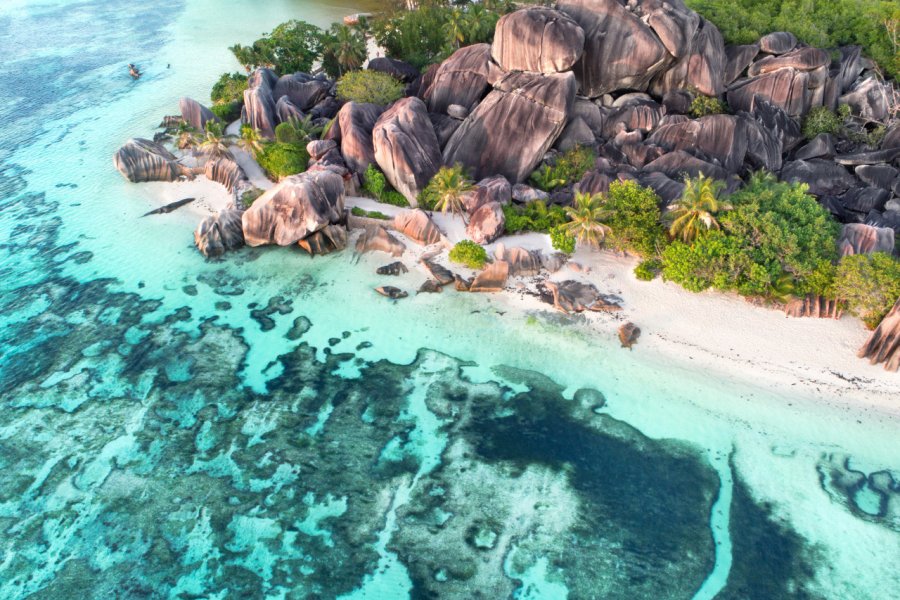 Anse Source d'Argent vue du ciel. Jenny Sturm - Shutterstock.com