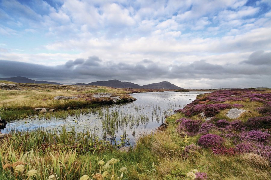 Lande à South Uist, Hébrides extérieures. _ultraforma_ - iStockphoto.com