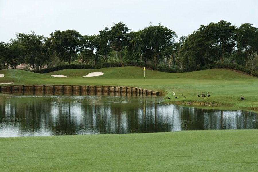 La Louisiane offre de jolis parcours de golf. BCWH - iStockphoto.com