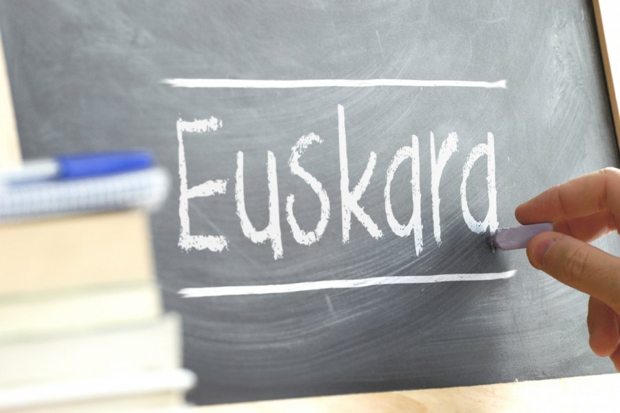 L'Euskara est enseignée dans certaines écoles. Juan Ci - Shutterstock.com