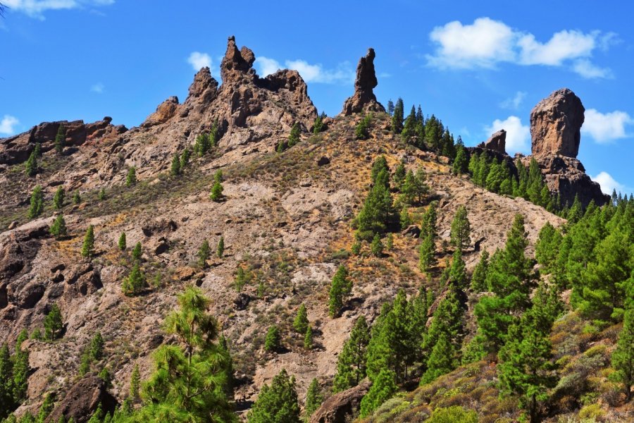 Roque de Nublo, Gran Canaria. nito - Shutterstock.com