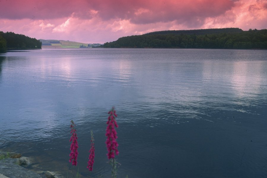 Lac de Saint-Agnan VALÉRY D'AMBOISE