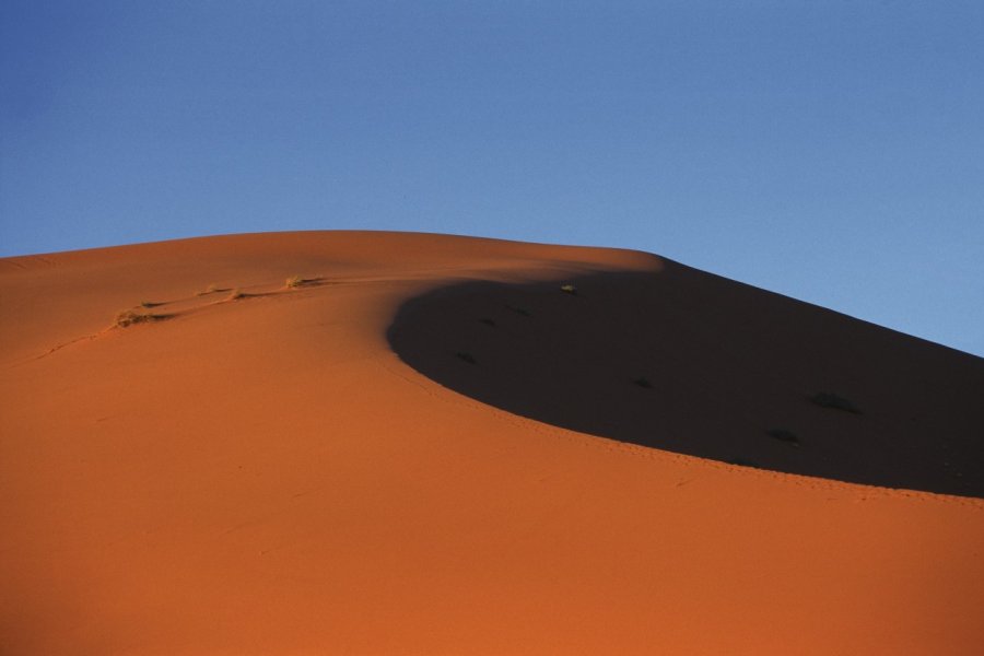 Dune de sable de Merzouga. Author's Image