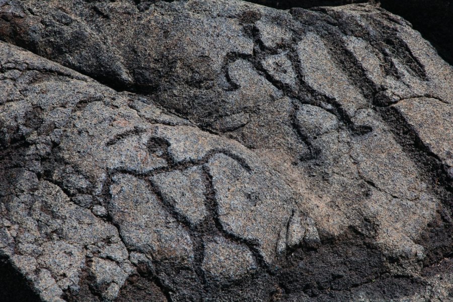 Puu Loa Petroglyps Hawaii Tourism Authority (HTA) / Tor Johnson