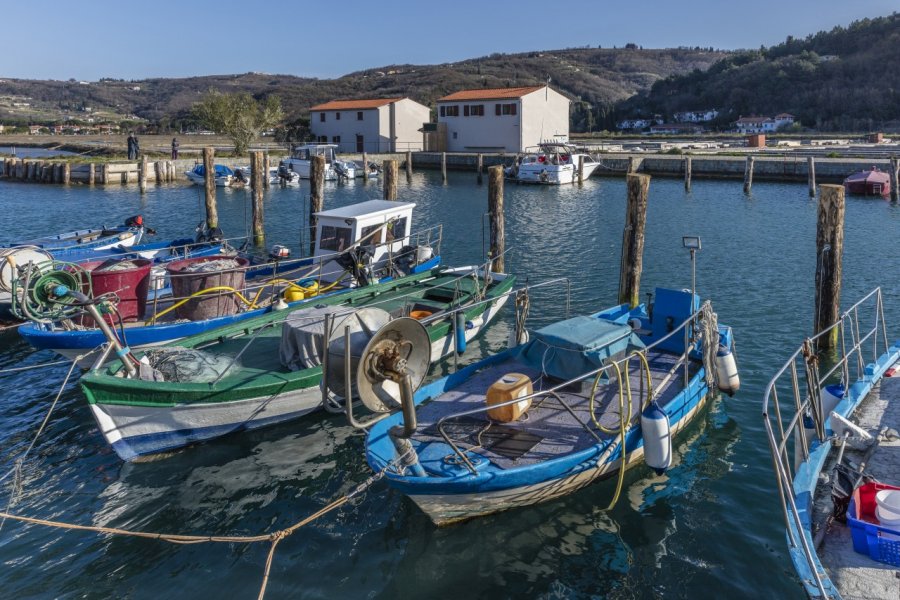 Bateaux de pêche à Strunjan. Cortyn - Shutterstock.com