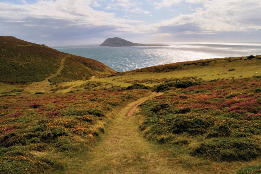 Île de Bardsey vue depuis les collines d'Aberdaron sur la péninsule de Llyn AlasdairJames - iStockphoto.com