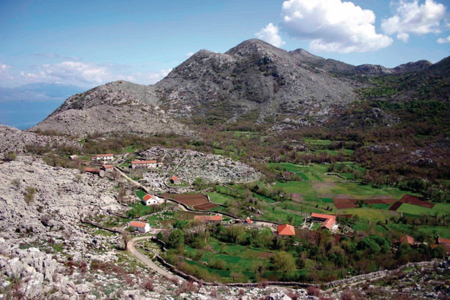 Lac De Skadar