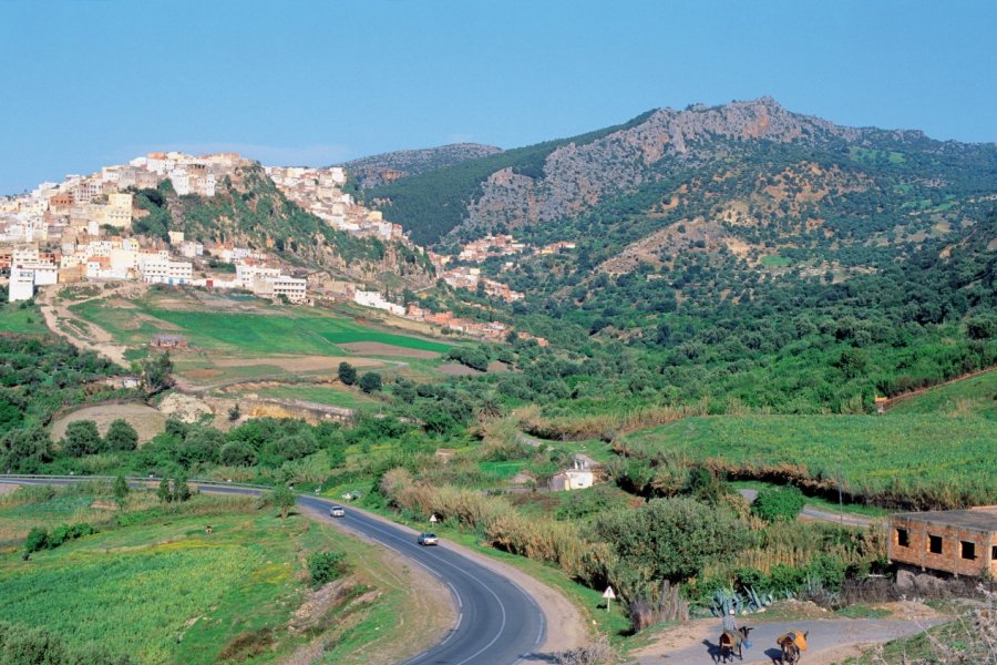 Région de Moulay Idriss. Author's Image