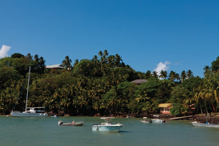 L'île Royale. Philippe GUERSAN - Author's Image