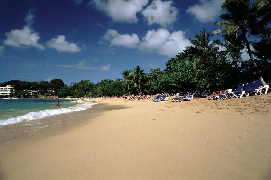 Plage de Sosua. Author's Image