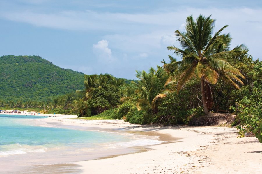 Playa Flamenco. TheSupe87 - Fotolia