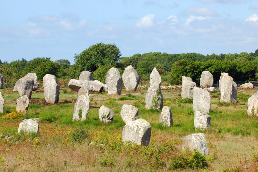 Les alignements de Carnac. Richard VILLALON - Fotolia