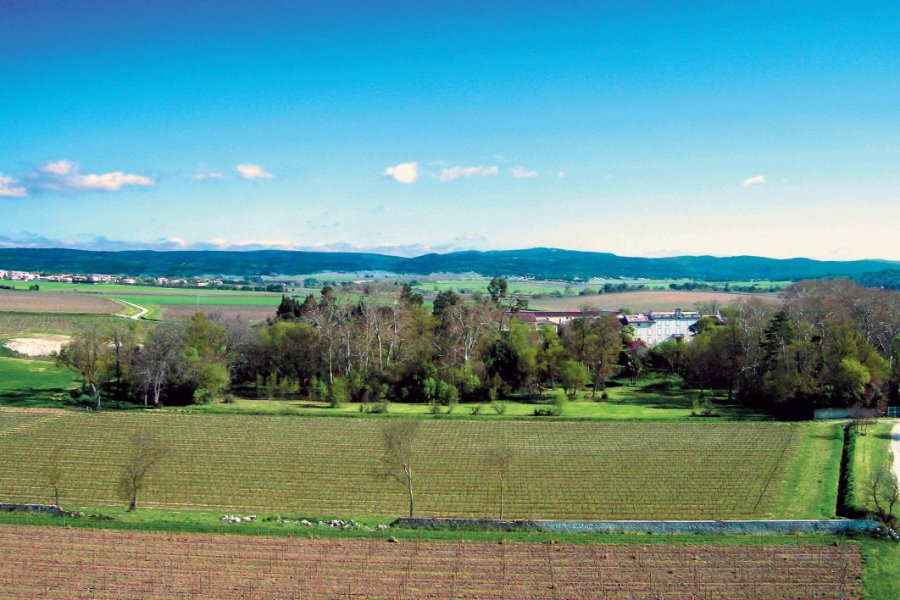 Château Auzias. Dominique Auzias