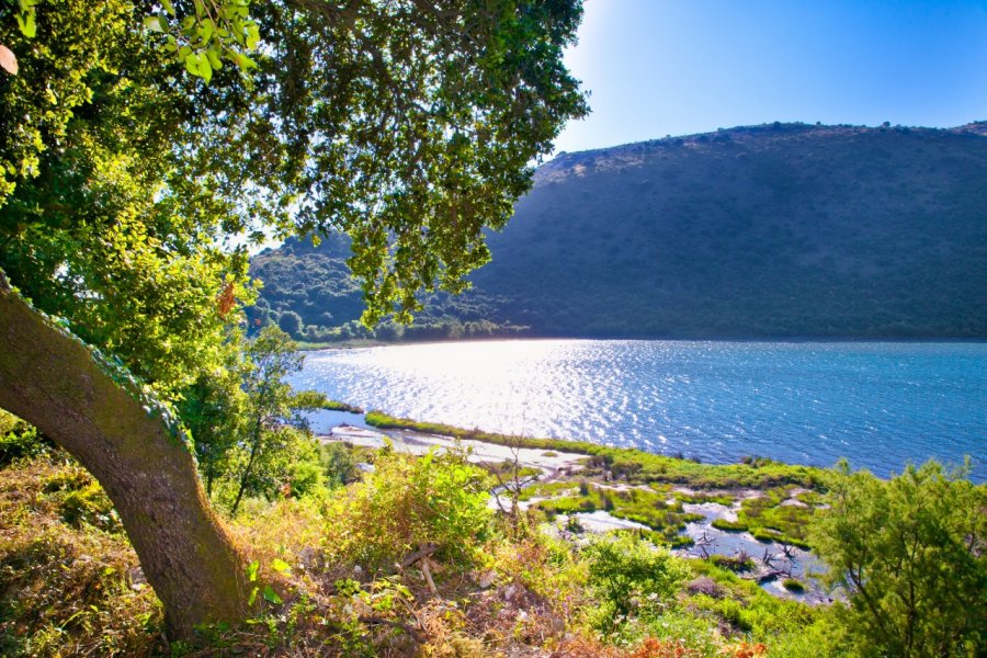 Parc national de Butrint. Aleksandar Todorovic - Shutterstock.com