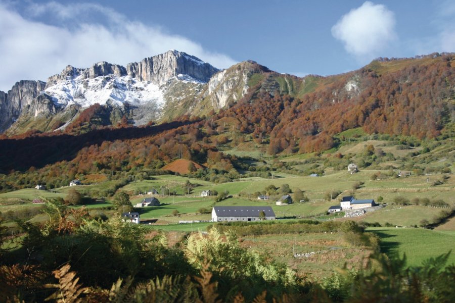 La vallée d'Aspe (© Béatrice TROSSEILLE - Xilopix))